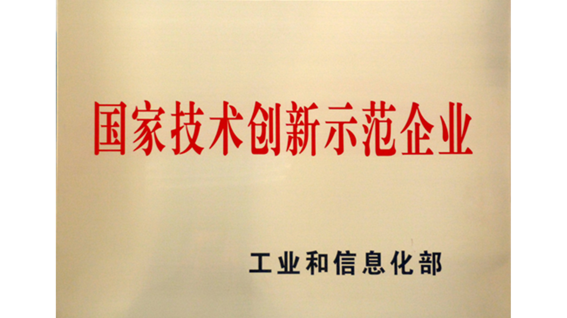 國家技術創(chuàng)新示范企業(yè)